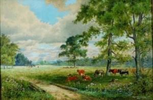 Grazing Cattle Grazing Cattle