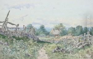Country Scene Country Scene