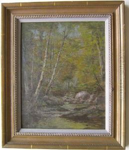 Wooded Landscape With Stream - view 1