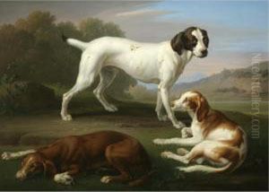 A Pointer And Two Setters In An Extensive Landscape A Pointer And Two Setters In An Extensive Landscape