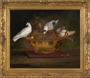 Pigeons Drinking From A Bowl by Peter Wenzel