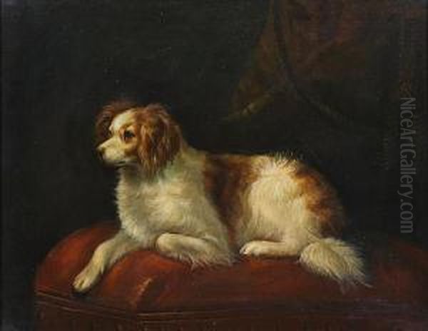 King Charles Spaniel Resting On Acushion - view 1