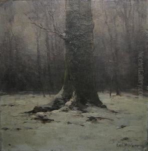 Sneeuweffect. by Carl Werlemann