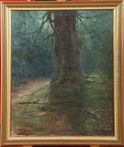 Clair De Lune En Foret - view 1