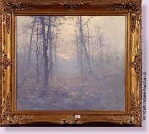 Sous-bois Un Matin D'hiver by Carl Werlemann