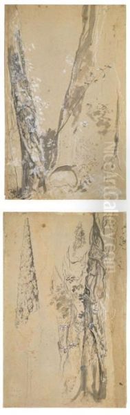 Baumstudien - view 1