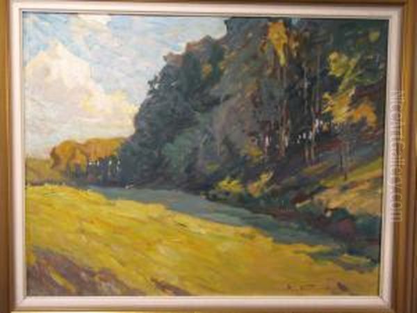 Sommerliche Wiesenlandschaft Mit Angrenzendem Wald - view 1
