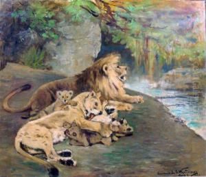 Une Famille De Lions