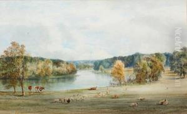Extensive River Landscape, With Sheep Andcattle To The Foreground - view 1