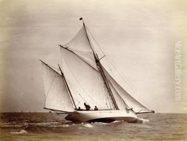Sailing Yachts - view 1
