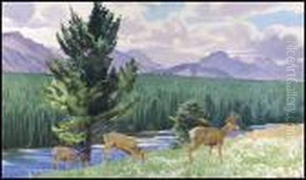 Bow River - view 1