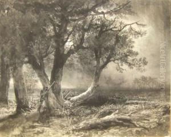 The Poacher - view 1