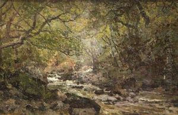 Sketch In The Dargle, Co Wicklow (may 1886) - view 1