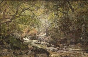 Sketch In The Dargle, Co Wicklow (may 1886) by R.W . West