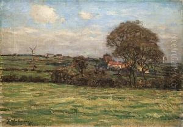 Landschaft In Zeeland - view 1