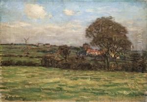 Landschaft In Zeeland