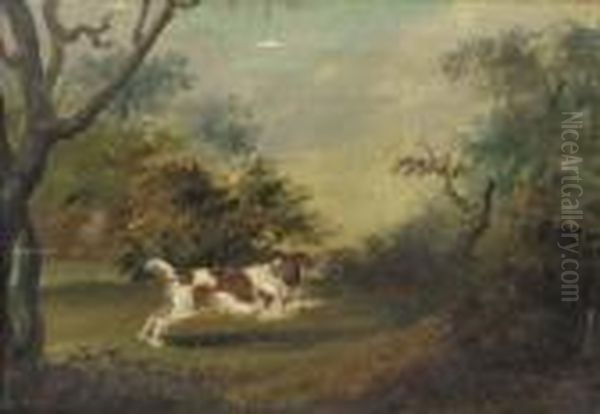 Spaniel On The Scent - view 1