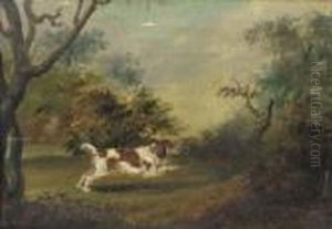 Spaniel On The Scent