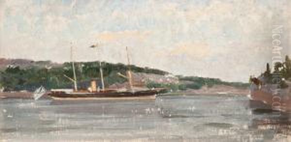 The Tsar Visiting Aland - view 1