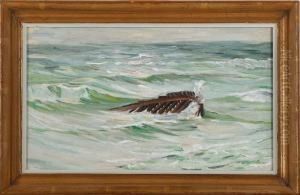 A Shipwreck At The Coast, Skagen App