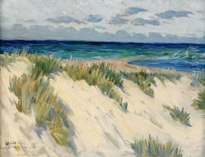 Utsikt Fran Dodmans Grav - Skagen