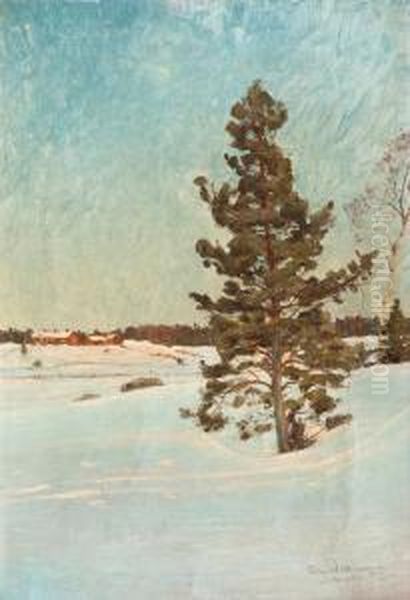 A Sunny Winter Landscape - view 1