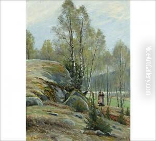 Stroll In A Forest - view 1