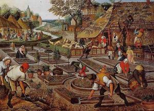 Preparation of the Flower Beds
