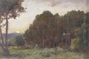 The Dark Wood by George Faulkner Wetherbee
