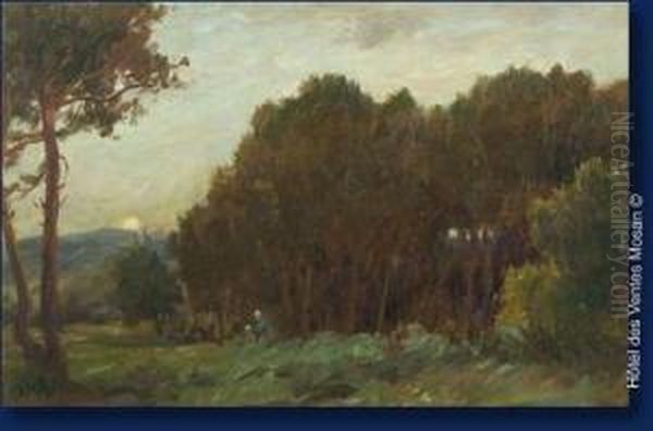 Le Bois Sombre - view 1