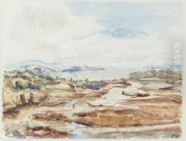 Landscape - view 1