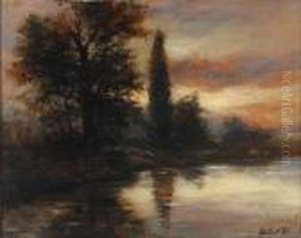 Baumbestandenesseeufer In Der Abenddammerung - view 1