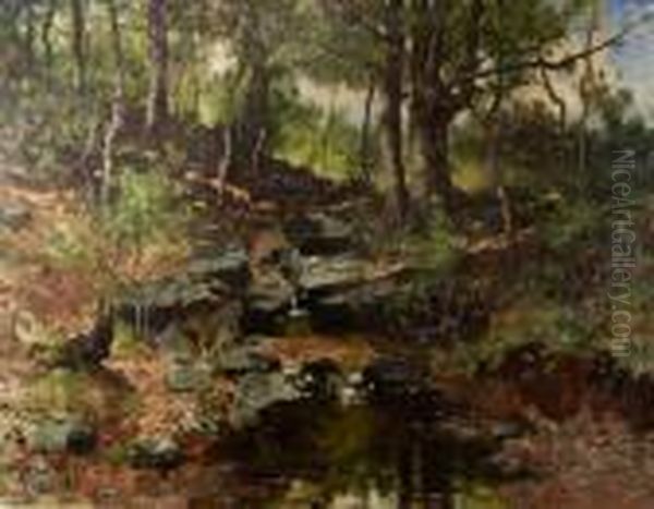 Rock Creek Park - view 1