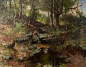 Rock Creek Park by Max Weyl