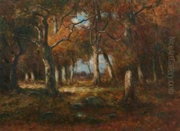 Autumn At Forest Edge - view 1