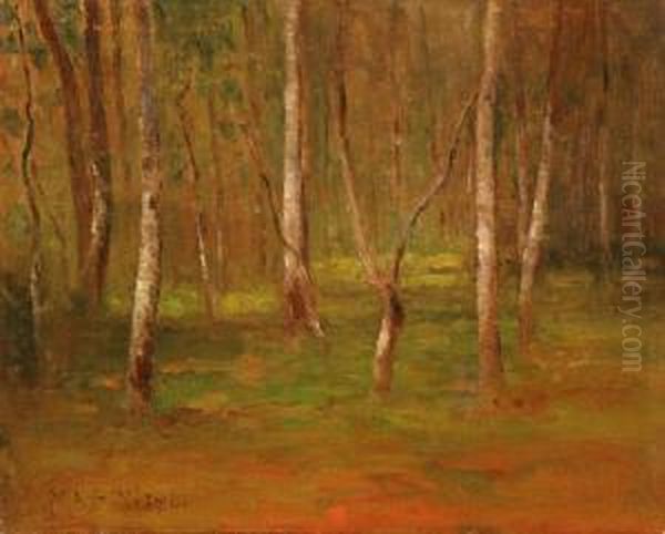 Woodland Interior - view 1