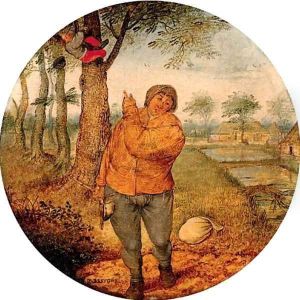 Proverb 'the nest robber' 2