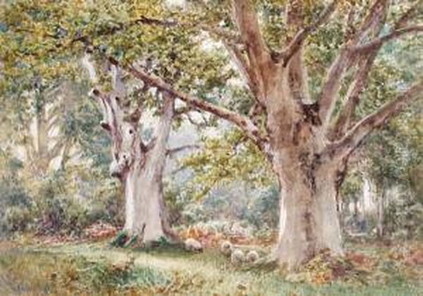 Sheep In A Woodland Landscape - view 1