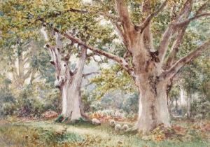 Sheep In A Woodland Landscape by James Whaite