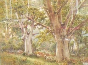Rural Scene With Sheep In Foreground by James Whaite