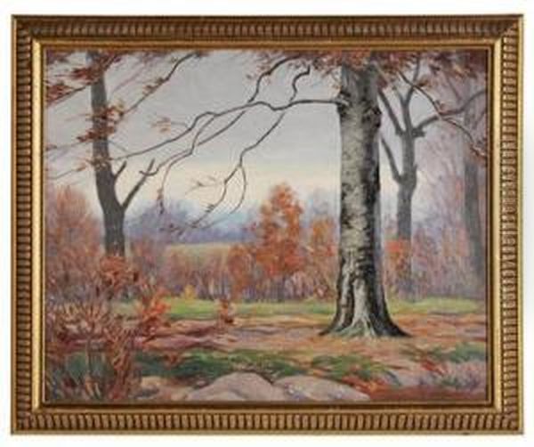 November Beech Tree - view 1