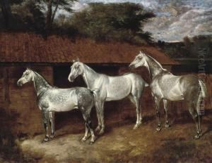 Three Good Greys by James Thomas Wheeler