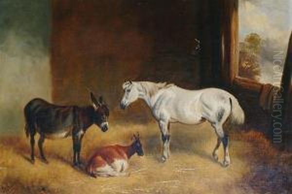 Donkey, Horse And Goat In A Barn Interior - view 1