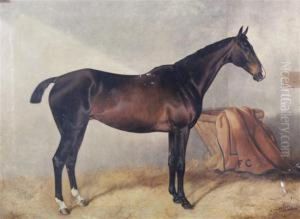 'oracle' & 'colonial' by John Arnold Wheeler