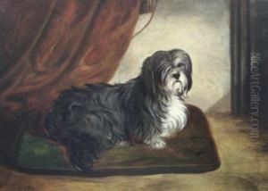 Portrait Of A Terrier Seated Upon A Cushion by John Arnold Wheeler