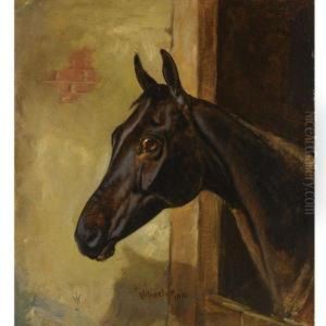 A Dark Bay Horse In A Stable