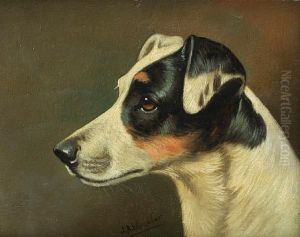 Head Studies Of Terriers: Two