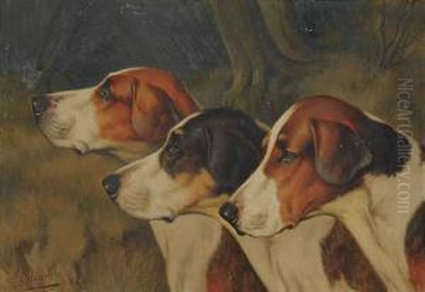 Foxhounds - view 1
