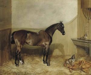 A Bay Hunter In A Stable With A Terrier