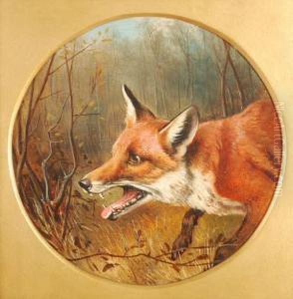 Head Of A Fox - view 1